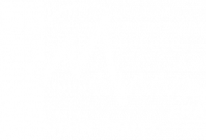 Mountain Reality
