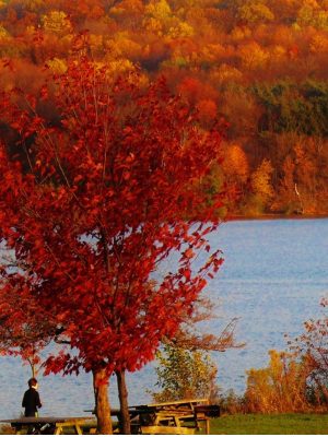 Montgomery County, PA