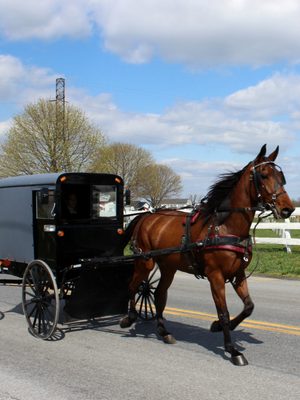 YORK COUNTY